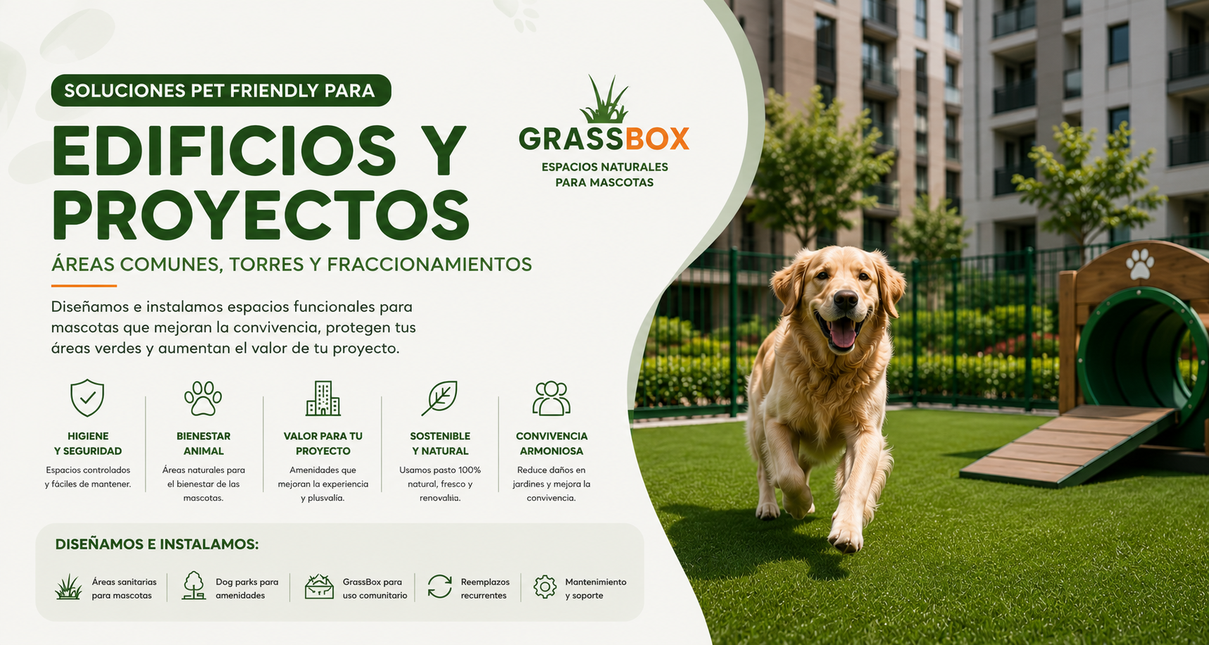 Soluciones Pet Friendly para Edificios y Proyectos GrassBox