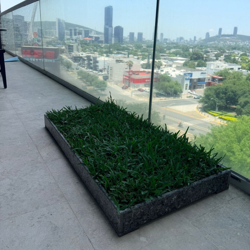 Grassbox Black
