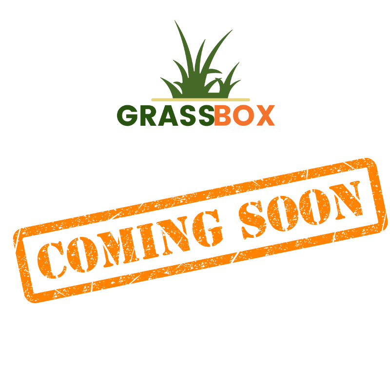 Limpieza profunda de GrassBox con reemplazo de pasto natural