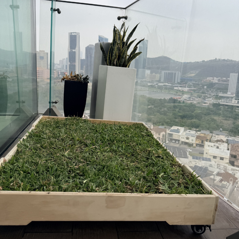 GrassBox en balcón pequeño para perro