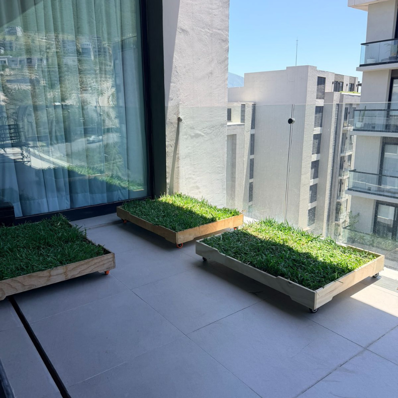 GrassBox Clásico sanitario natural para perros con base de madera