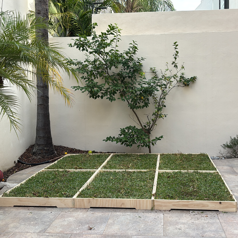 GrassBox en terraza para perros