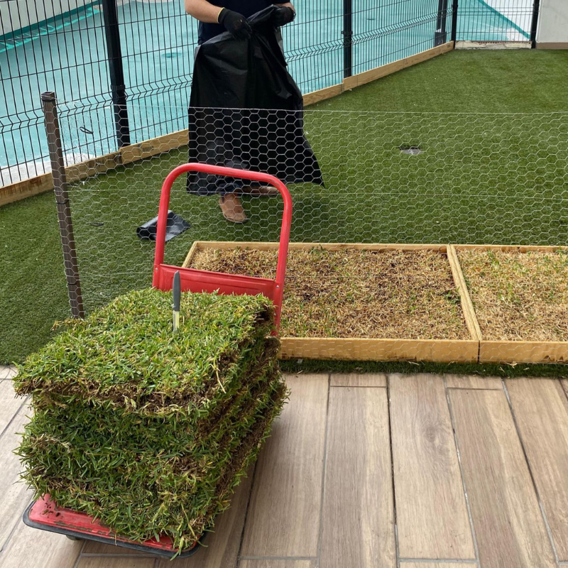 Reemplazo de pasto natural para GrassBox