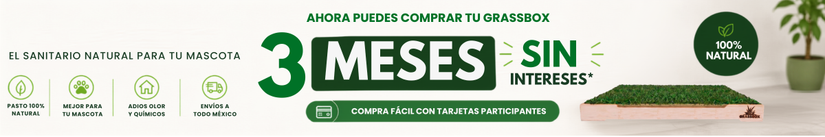 Diseño sin título